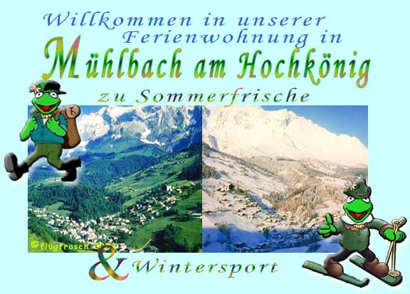 Ferienwohnung Österreich Mühlbach am Hochkönig Salzburgerland